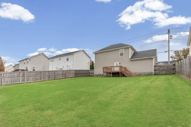 a view of a backyard with plants and large trees