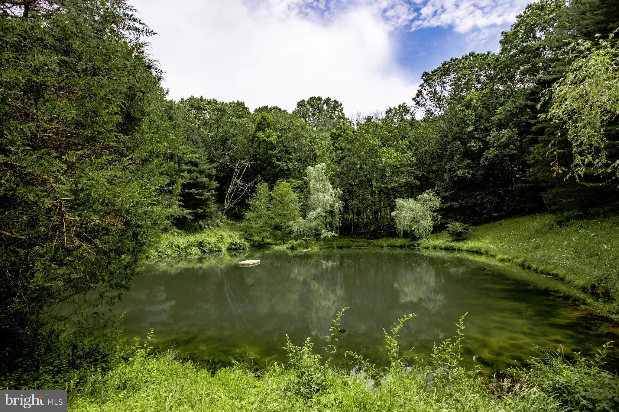 2904 Carrollton Road Finksburg, MD 21048 - Photo 4 of 54 a view of a lake view with a garden