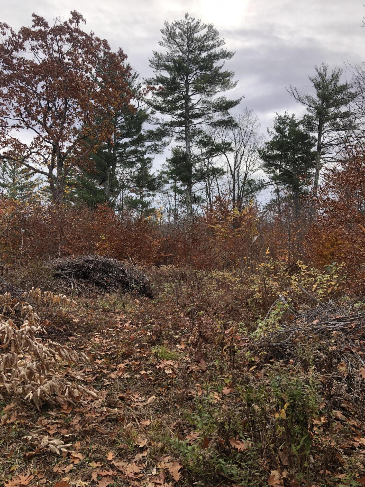 0 Walnut Hill Road Shapleigh, ME 04076 - Photo 4 of 9 IMG_6953