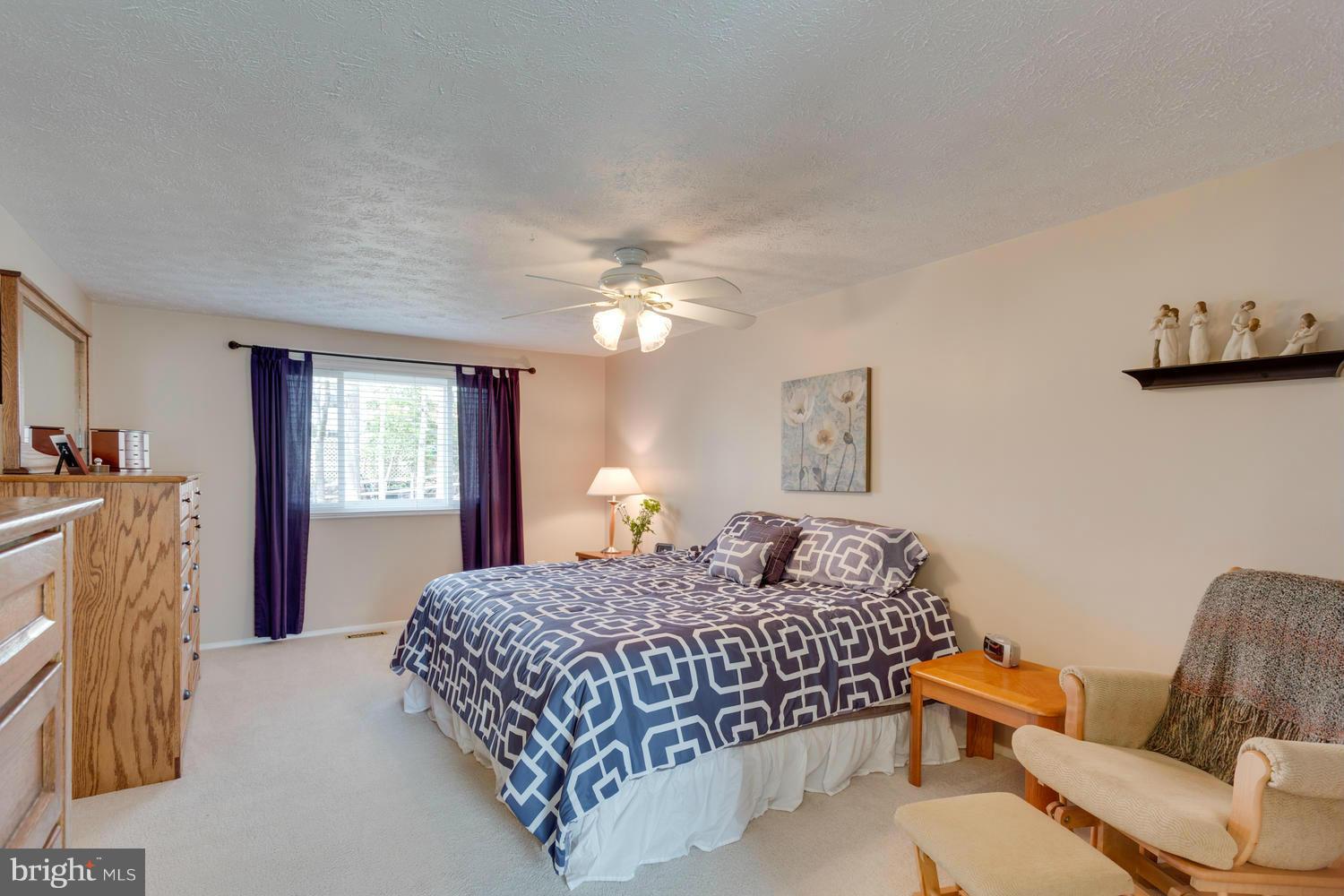 8336 Magic Leaf Road Springfield, VA 22153 - Photo 15 of 30 Bedroom (Master) Additional View