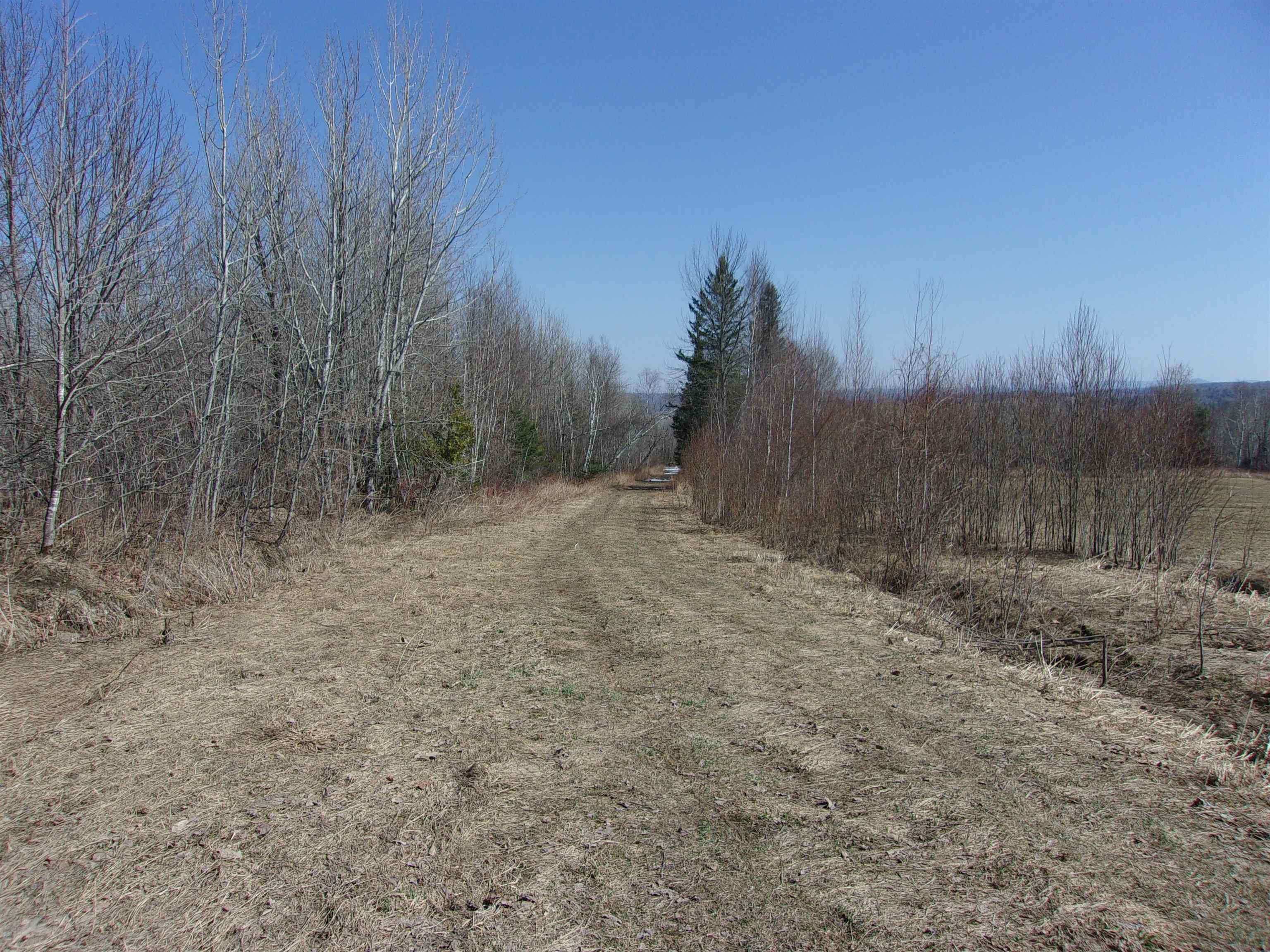 0 Burton Hill Road Barton, VT 05822 - Photo 2 of 12 Gallery Image 2