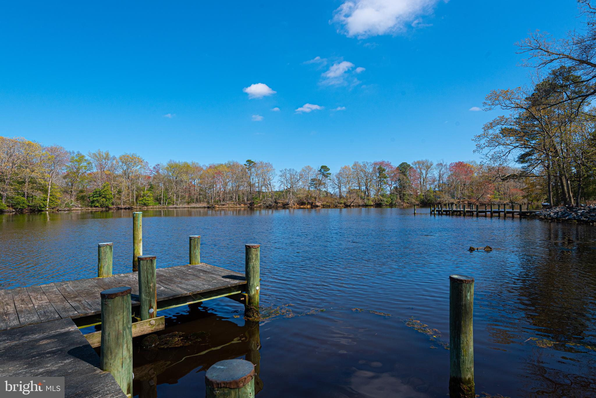 12334 Collins Road Bishopville, MD 21813 - Photo 11 of 36 Gallery Image 11