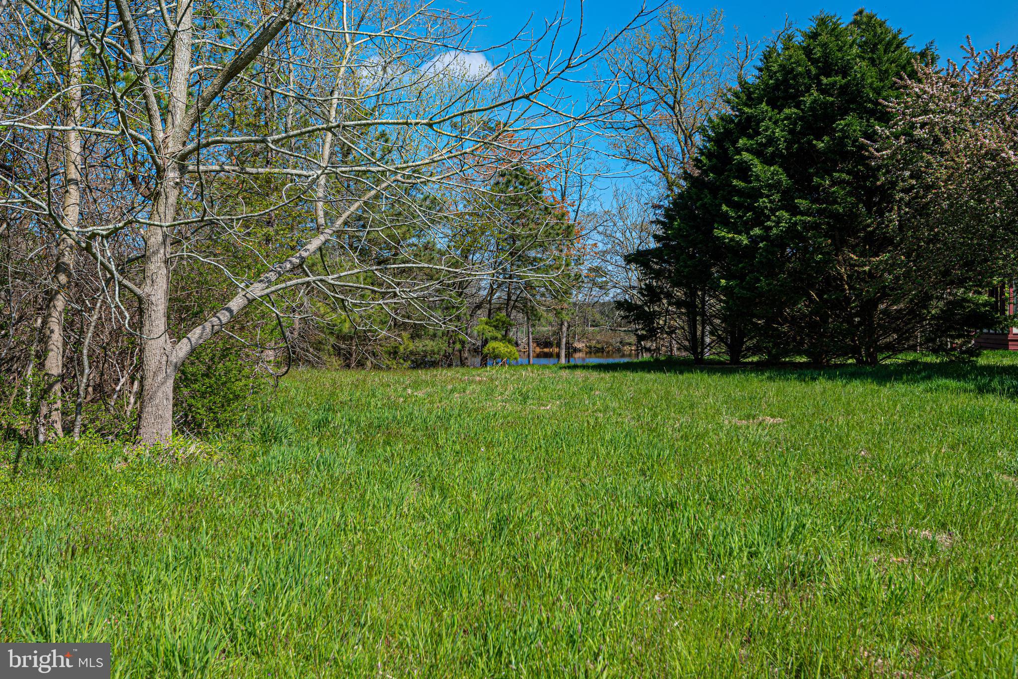 12334 Collins Road Bishopville, MD 21813 - Photo 15 of 36 Gallery Image 15