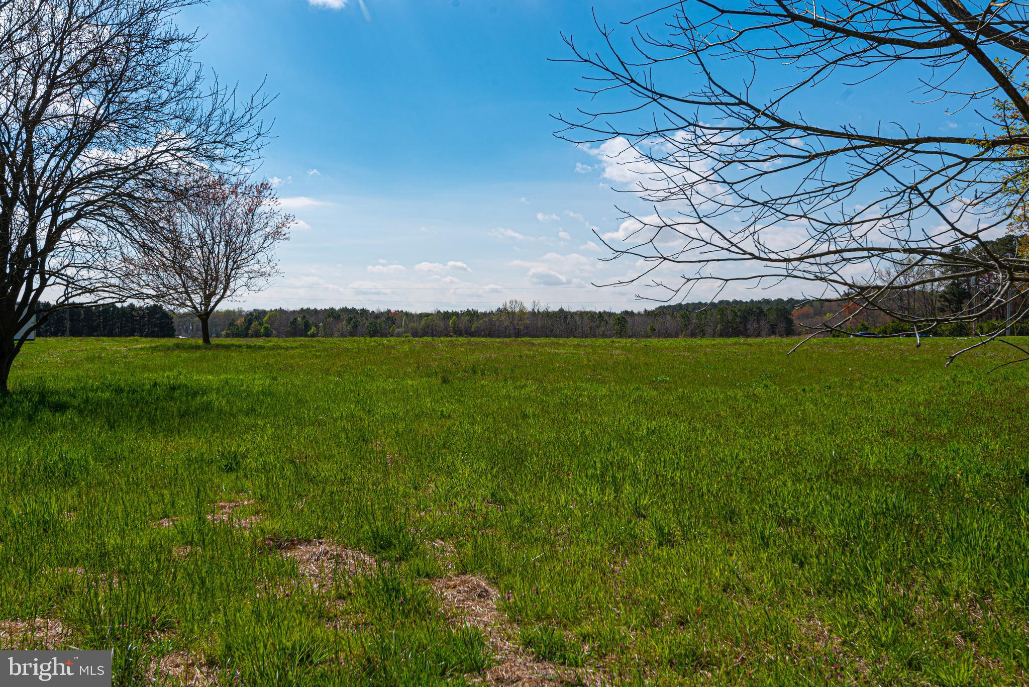 12334 Collins Road Bishopville, MD 21813 - Photo 32 of 36 Gallery Image 32