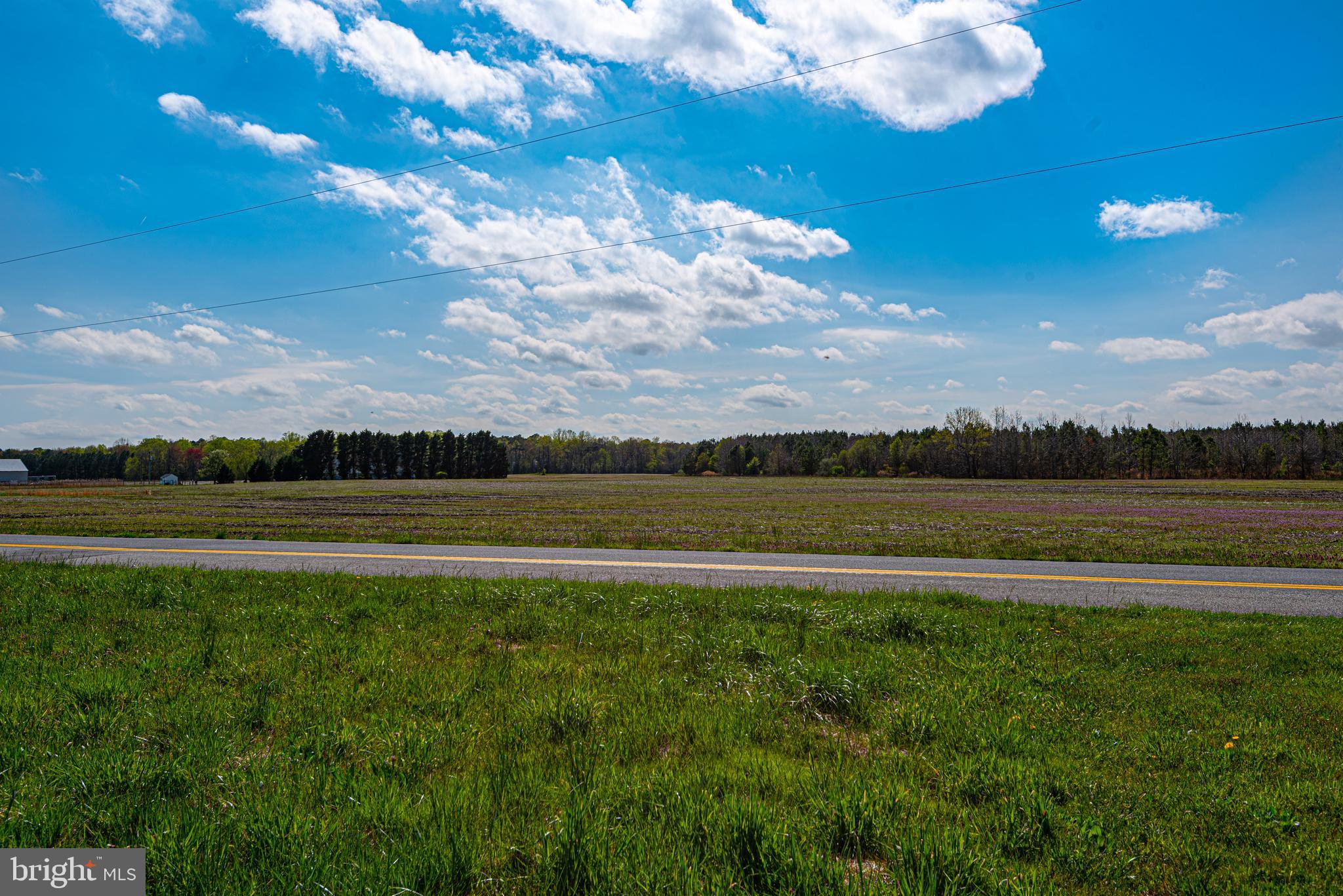 12334 Collins Road Bishopville, MD 21813 - Photo 33 of 36 Gallery Image 33