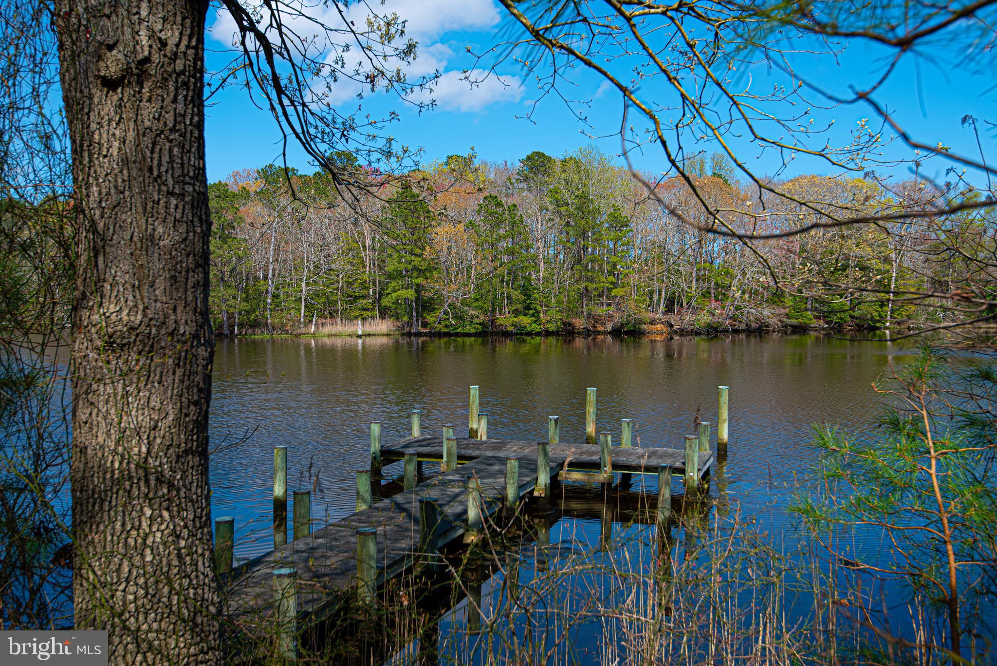 12334 Collins Road Bishopville, MD 21813 - Photo 34 of 36 Gallery Image 34