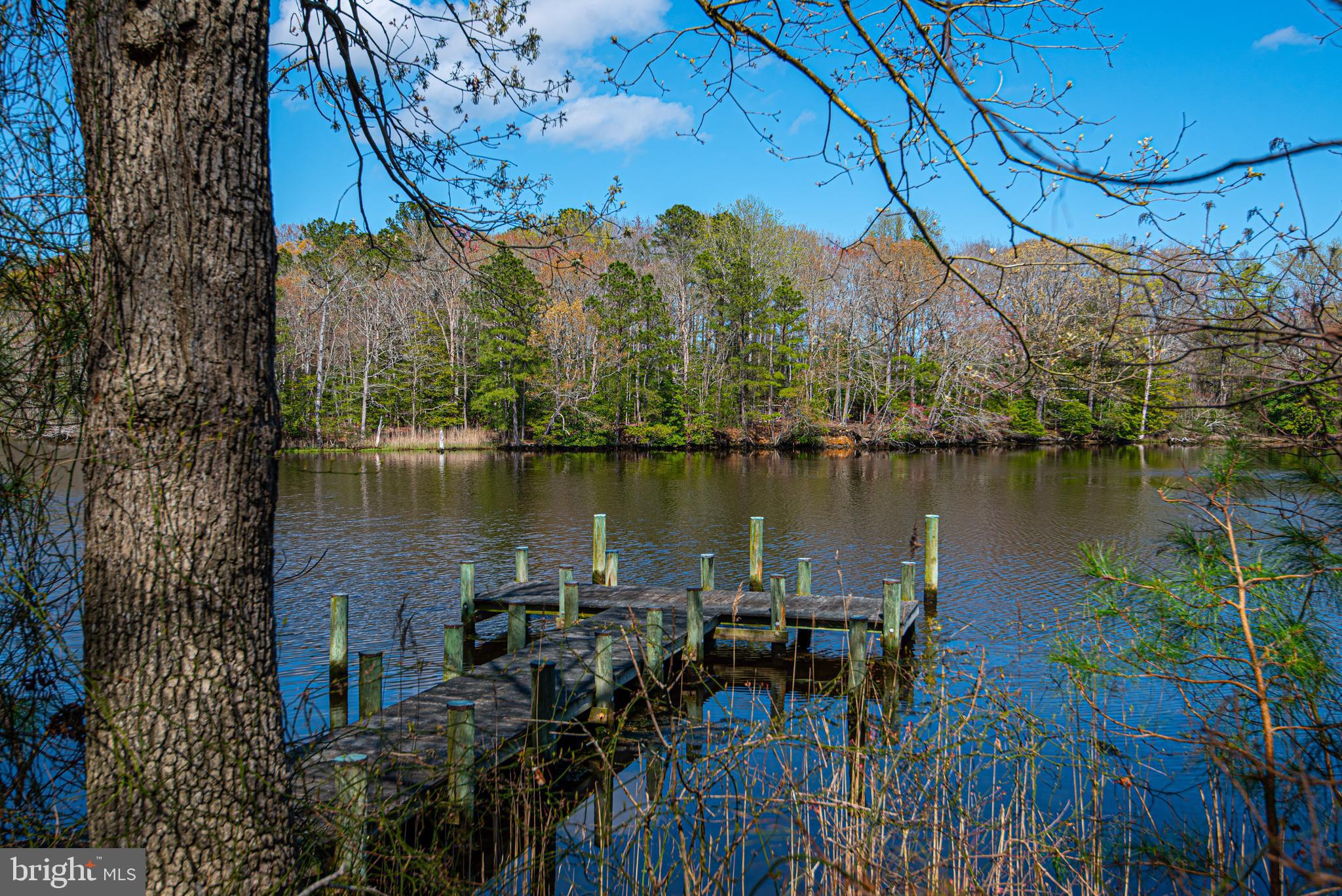 12334 Collins Road Bishopville, MD 21813 - Photo 7 of 36 Gallery Image 7