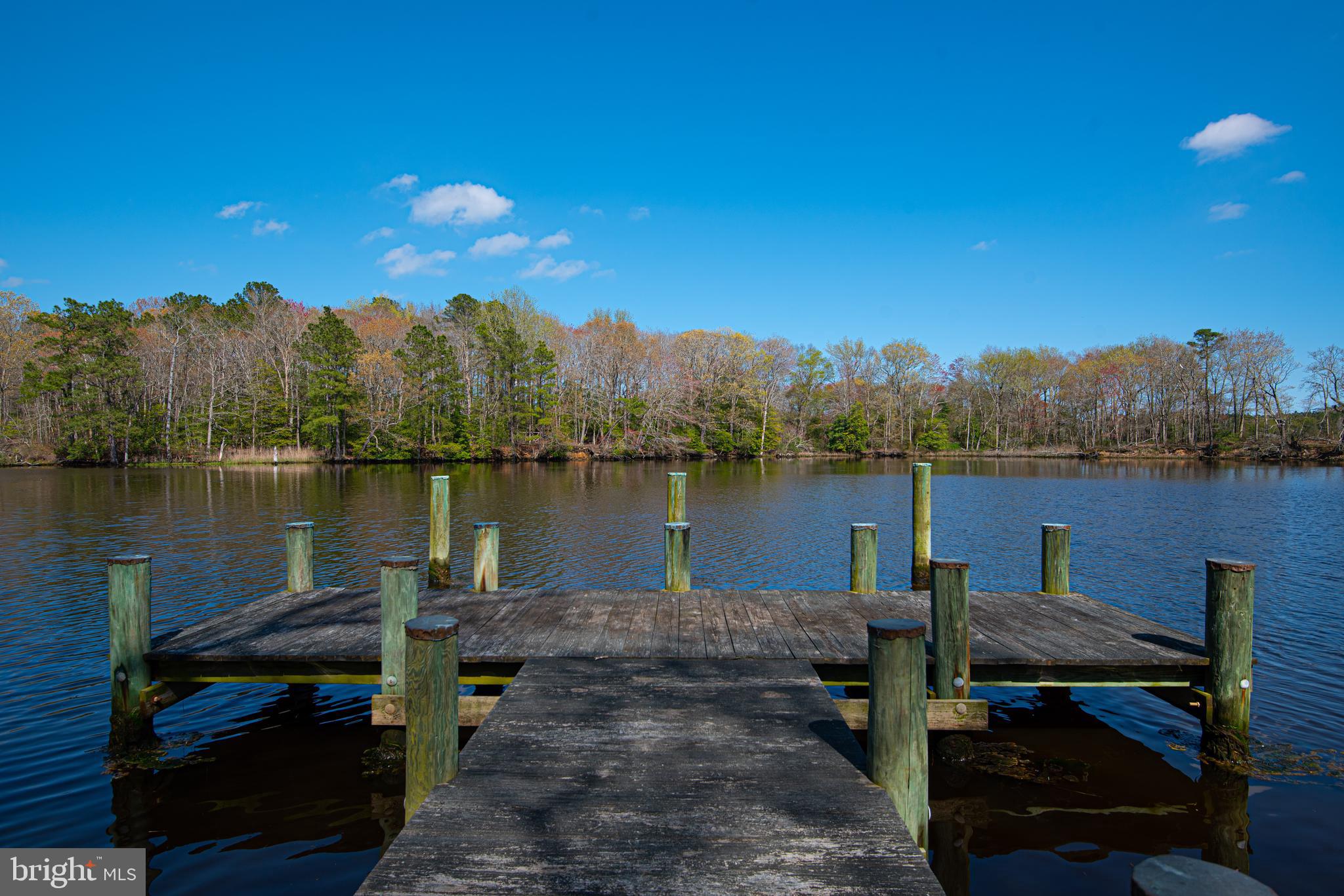 12334 Collins Road Bishopville, MD 21813 - Photo 10 of 36 Gallery Image 10