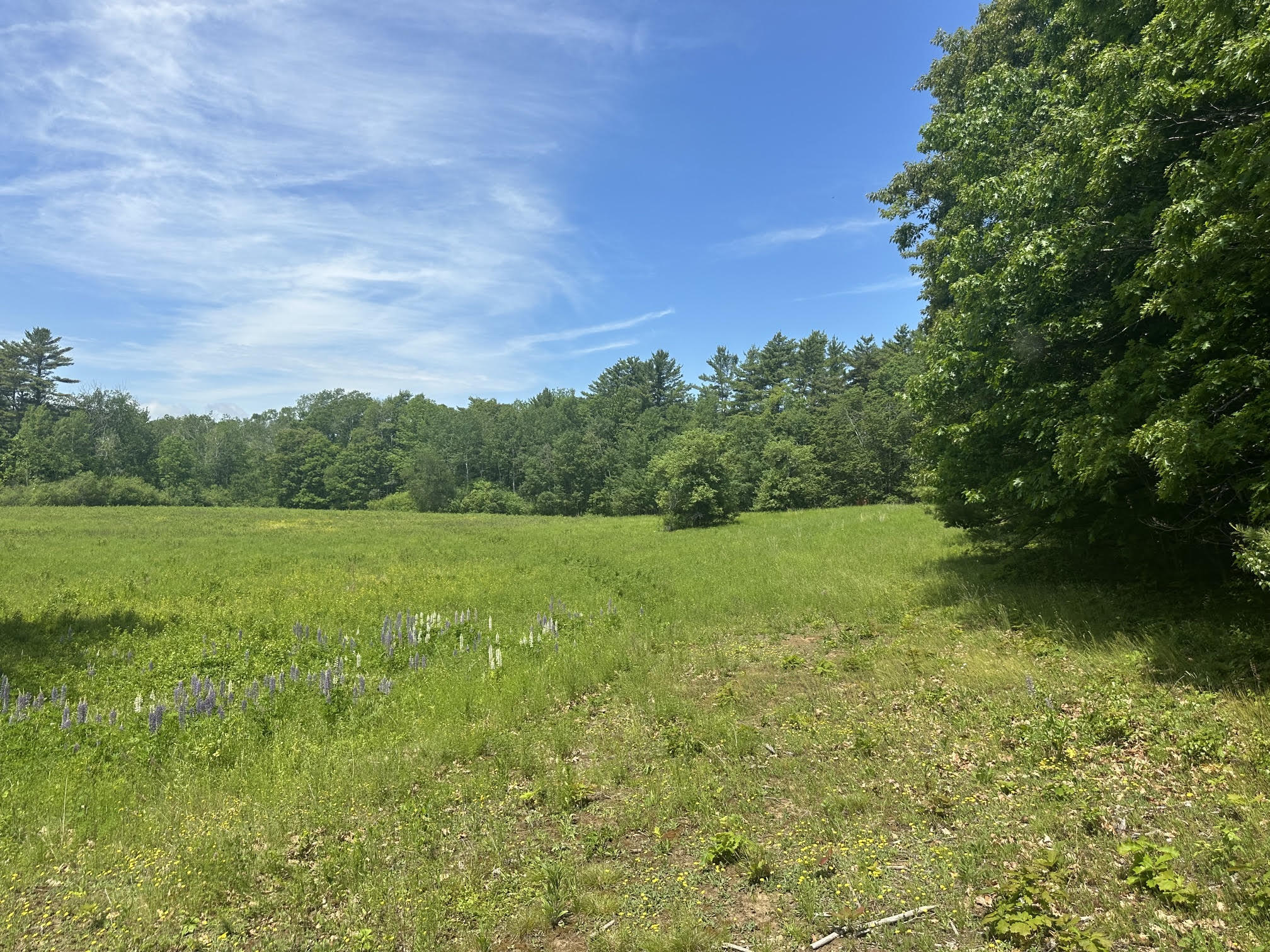 37 Herrick Road Belfast, ME 04915 - Photo 12 of 14 13