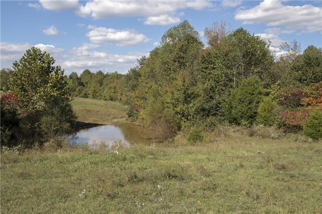 7329 New Chapel Road Springfield, TN 37172 - Photo 18 of 18