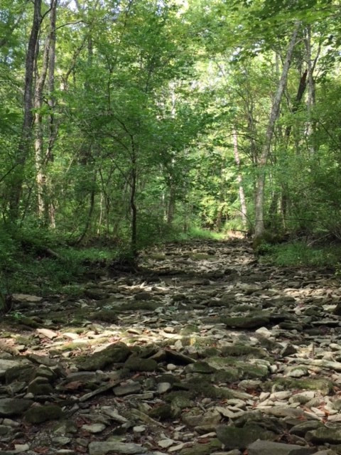 Lot 12 Moffett Road Morning View, KY 41063 - Photo 8 of 10 Gallery Image 8
