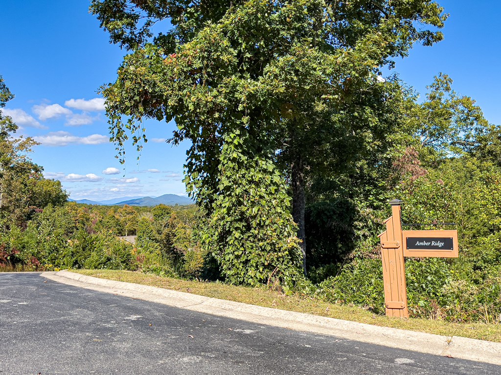 Lot 60 Staurolite Mountain Road Blue Ridge, GA 30513 - Photo 46 of 47