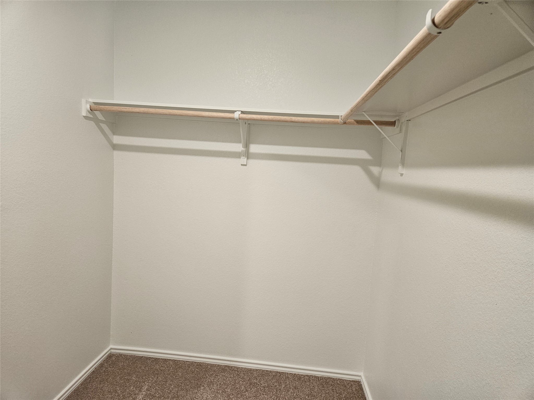 23604 Tiny Moons Way Elgin, TX 78621 - Photo 14 of 25 Walk in closet featuring carpet flooring