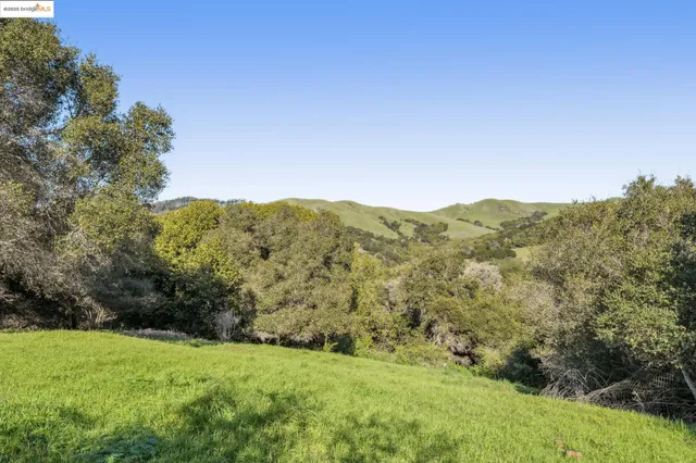a view of a lush green space with sea