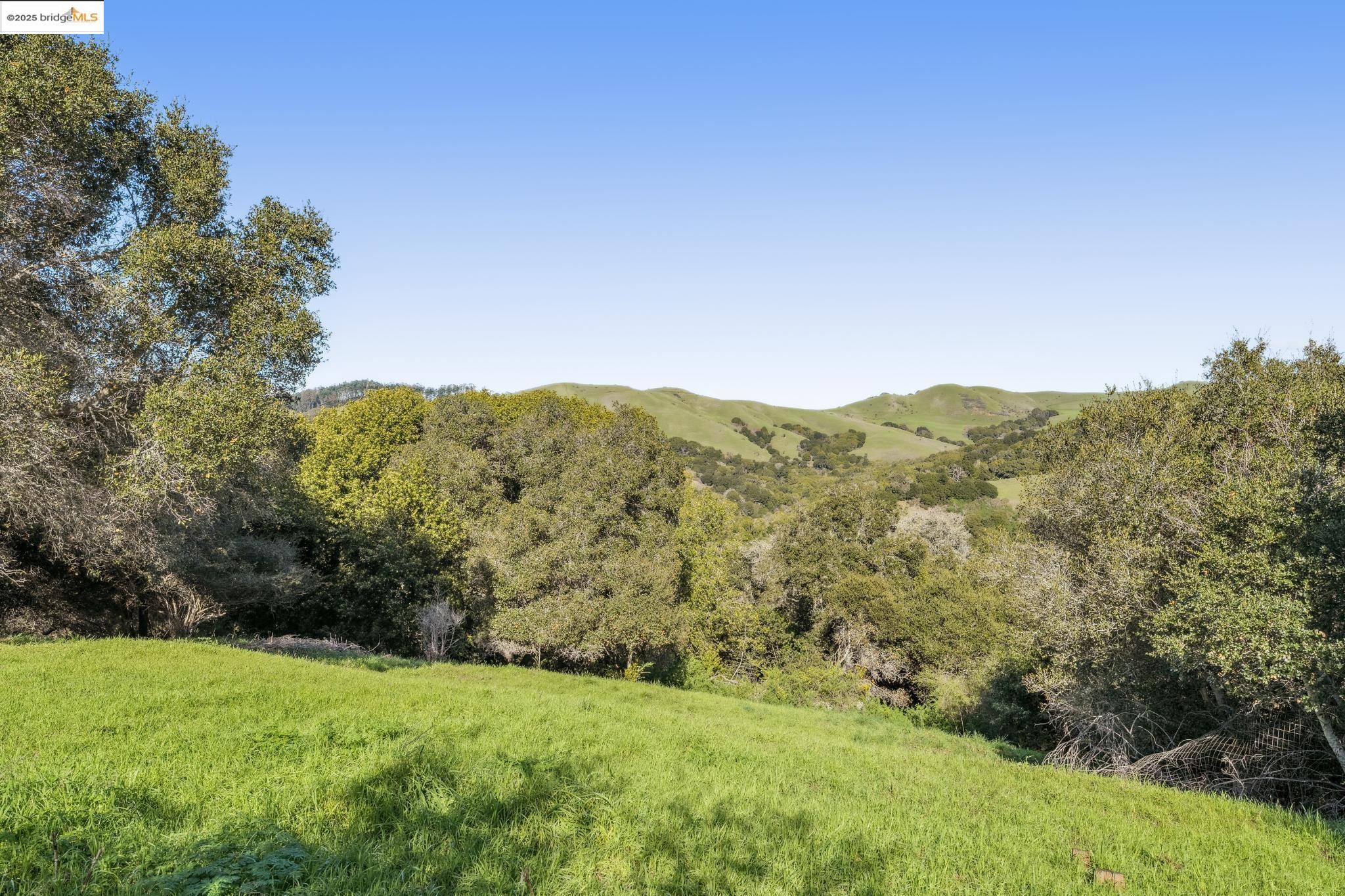 0 Fairview Avenue Richmond, CA 94805 - Photo 12 of 52 a view of a lush green space with sea