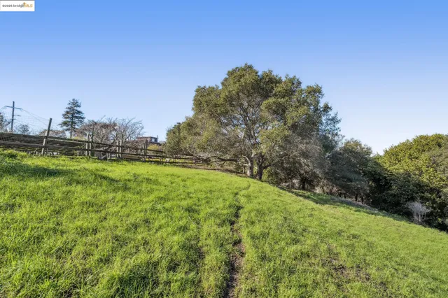 a view of field with trees in background