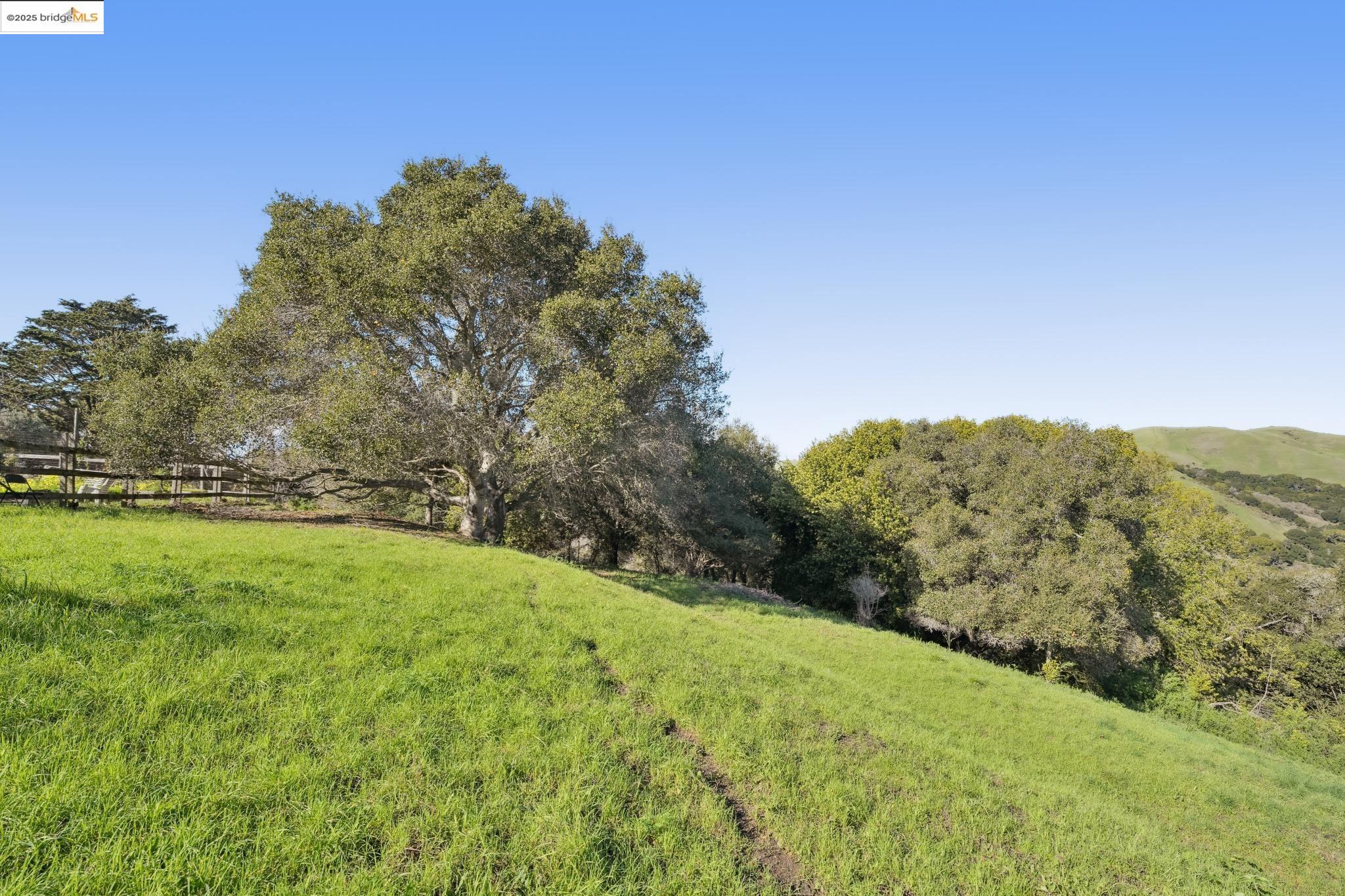 0 Fairview Avenue Richmond, CA 94805 - Photo 14 of 52 a view of a field with a tree in the background