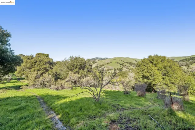 a view of a yard with a mountain
