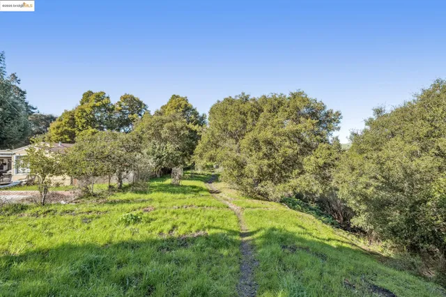 a backyard of a house with lots of green space and trees