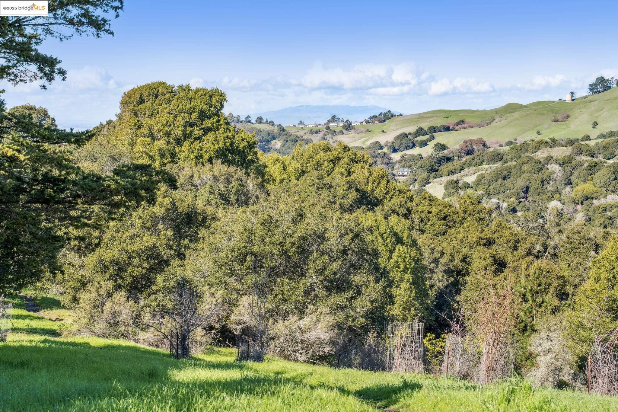 0 Fairview Avenue Richmond, CA 94805 - Photo 19 of 52 a view of a yard