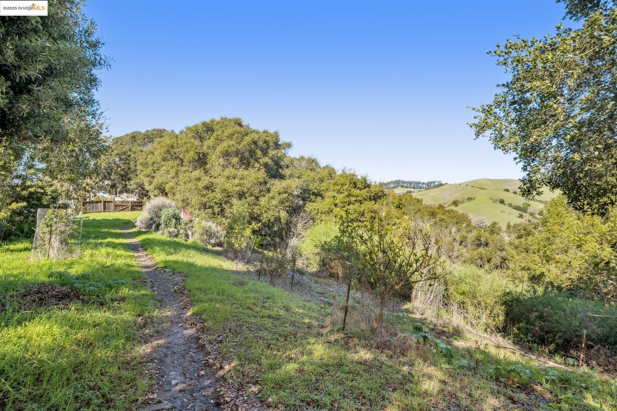 0 Fairview Avenue Richmond, CA 94805 - Photo 20 of 52 a view of a field with an trees