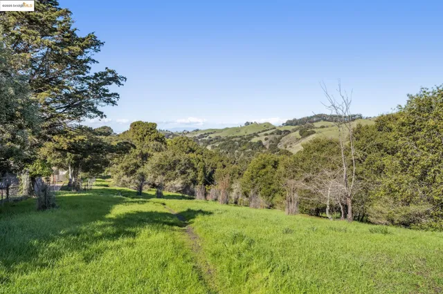 a view of a green field with mountains in the background