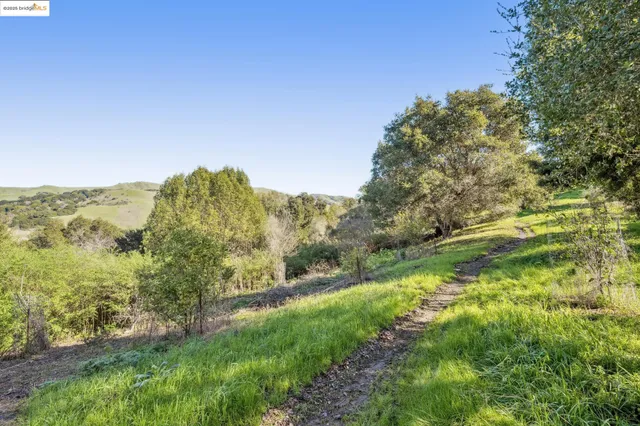 a view of a yard with a tree