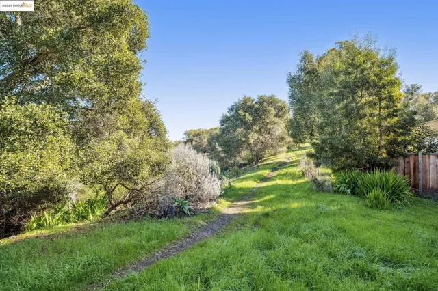 a view of yard with green space