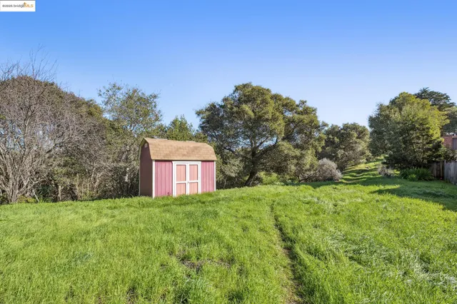 a view of a big yard with large trees