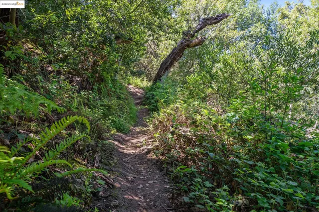 a backyard of a house with lots of plants