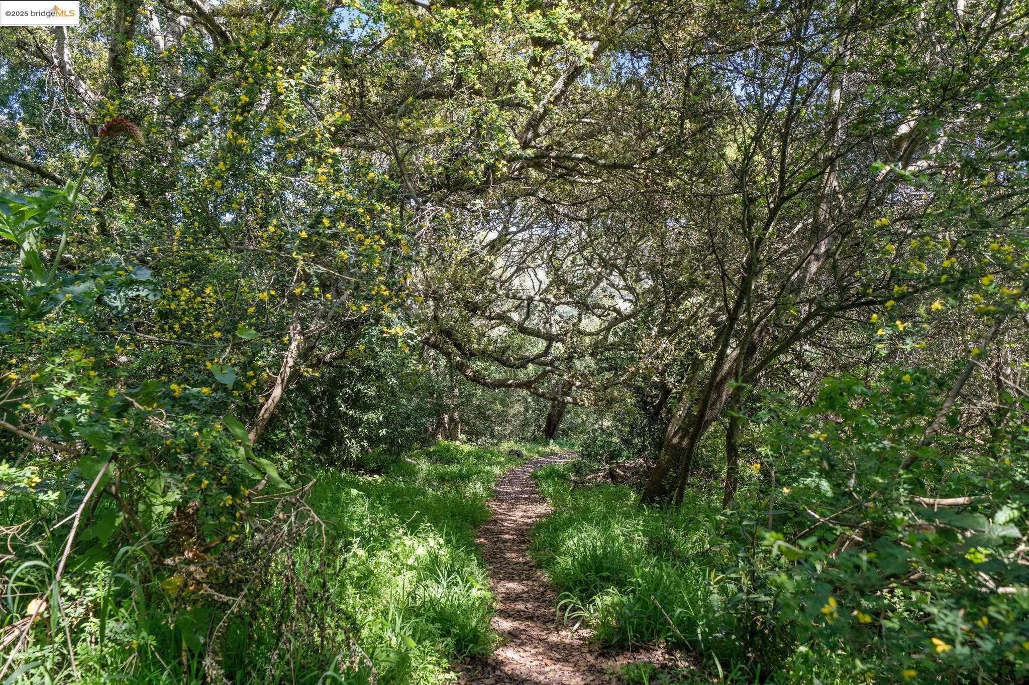 0 Fairview Avenue Richmond, CA 94805 - Photo 30 of 52