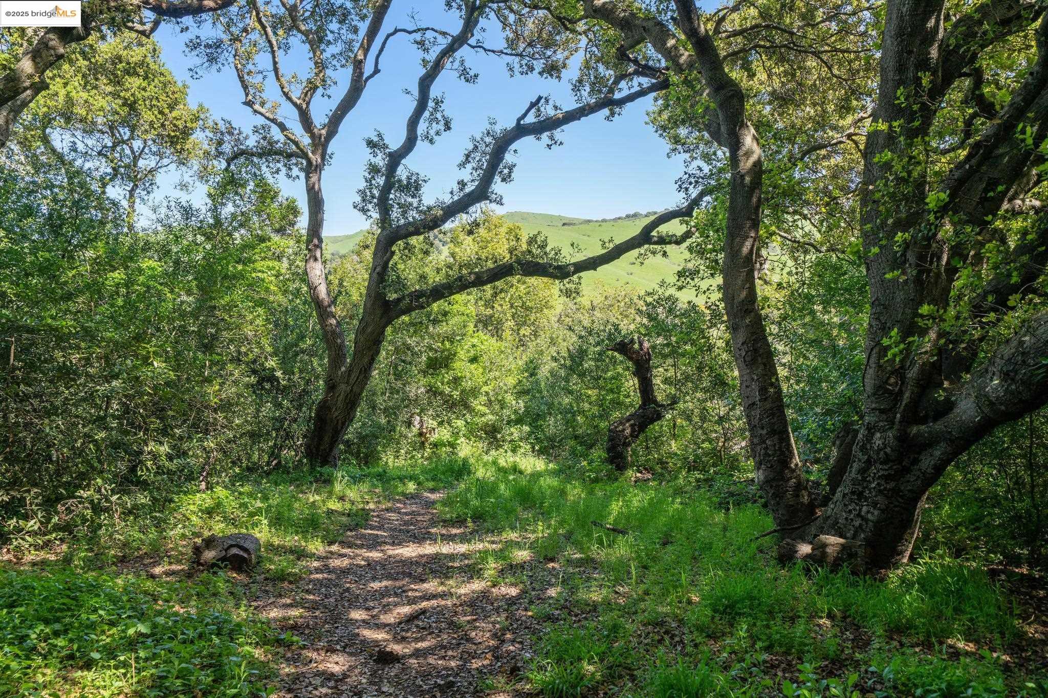 0 Fairview Avenue Richmond, CA 94805 - Photo 32 of 52 a view of a yard