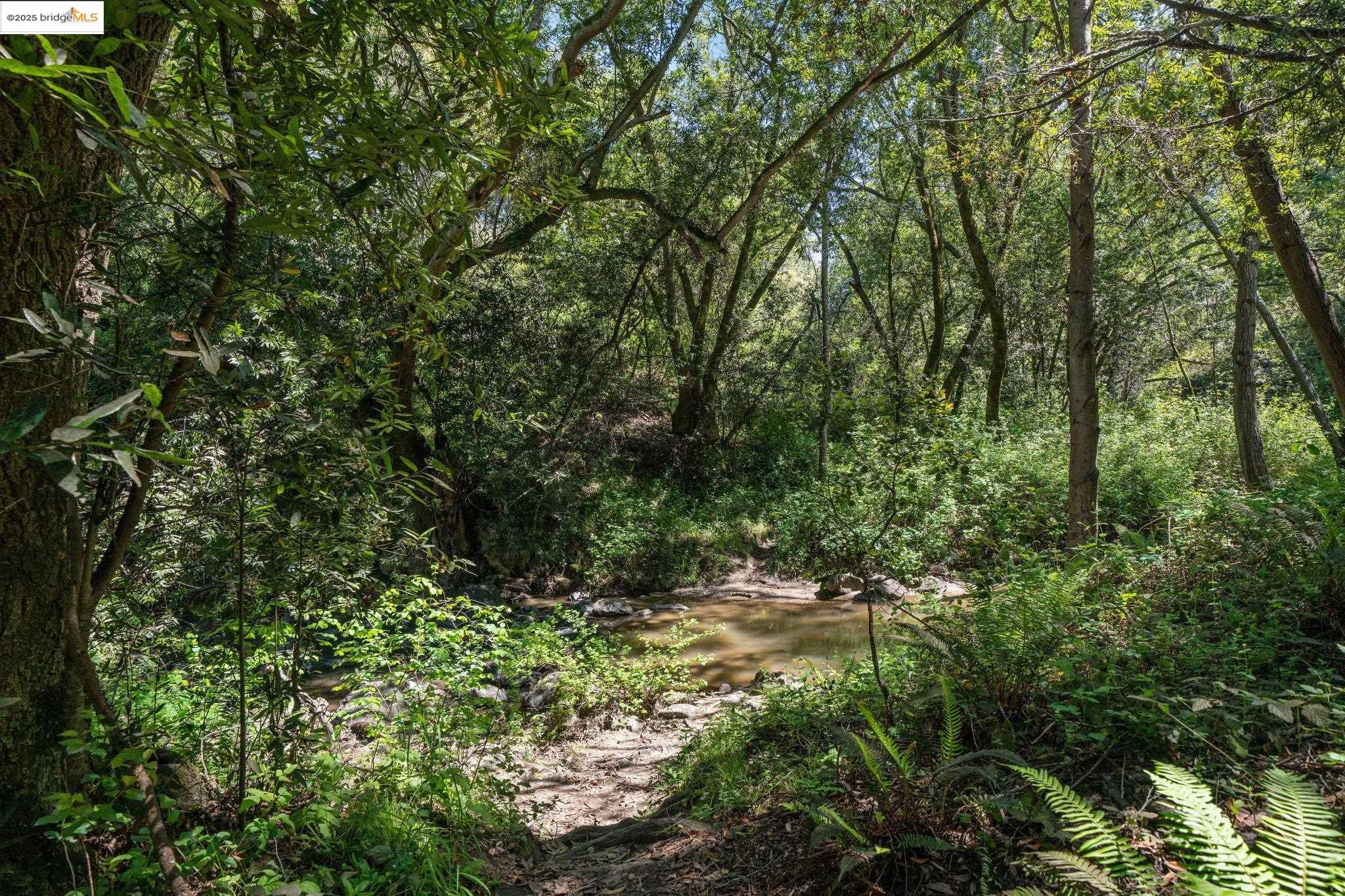 0 Fairview Avenue Richmond, CA 94805 - Photo 34 of 52 a view of a lush green forest