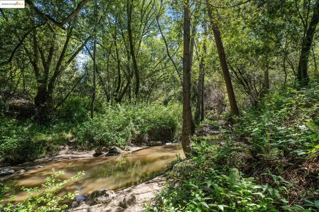 a view of swimming pool with a yard