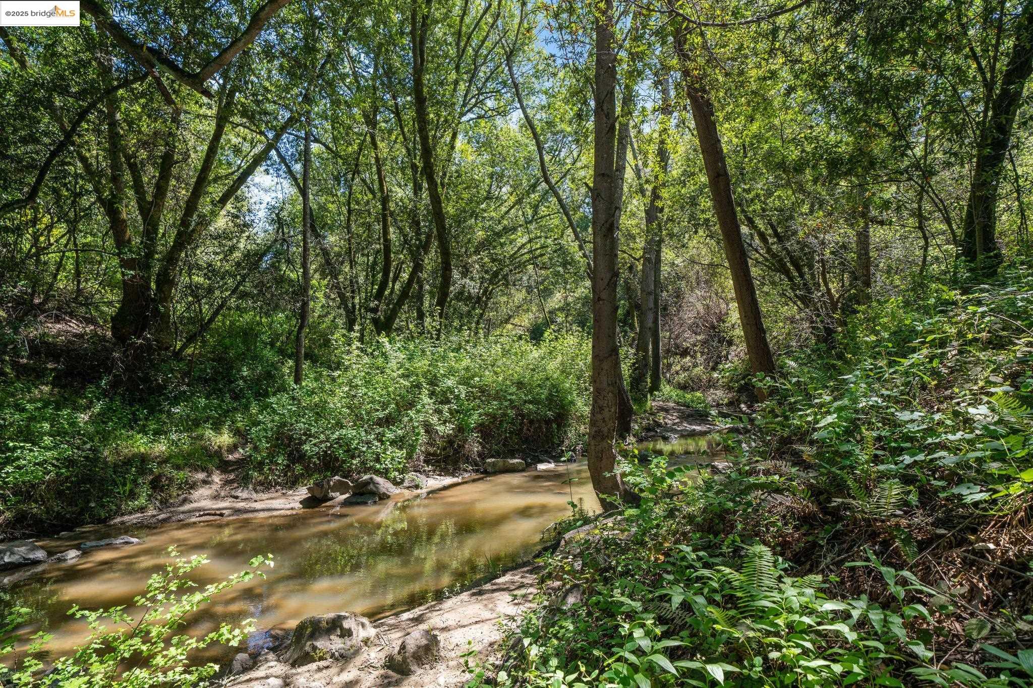 0 Fairview Avenue Richmond, CA 94805 - Photo 35 of 52 a view of a forest with trees