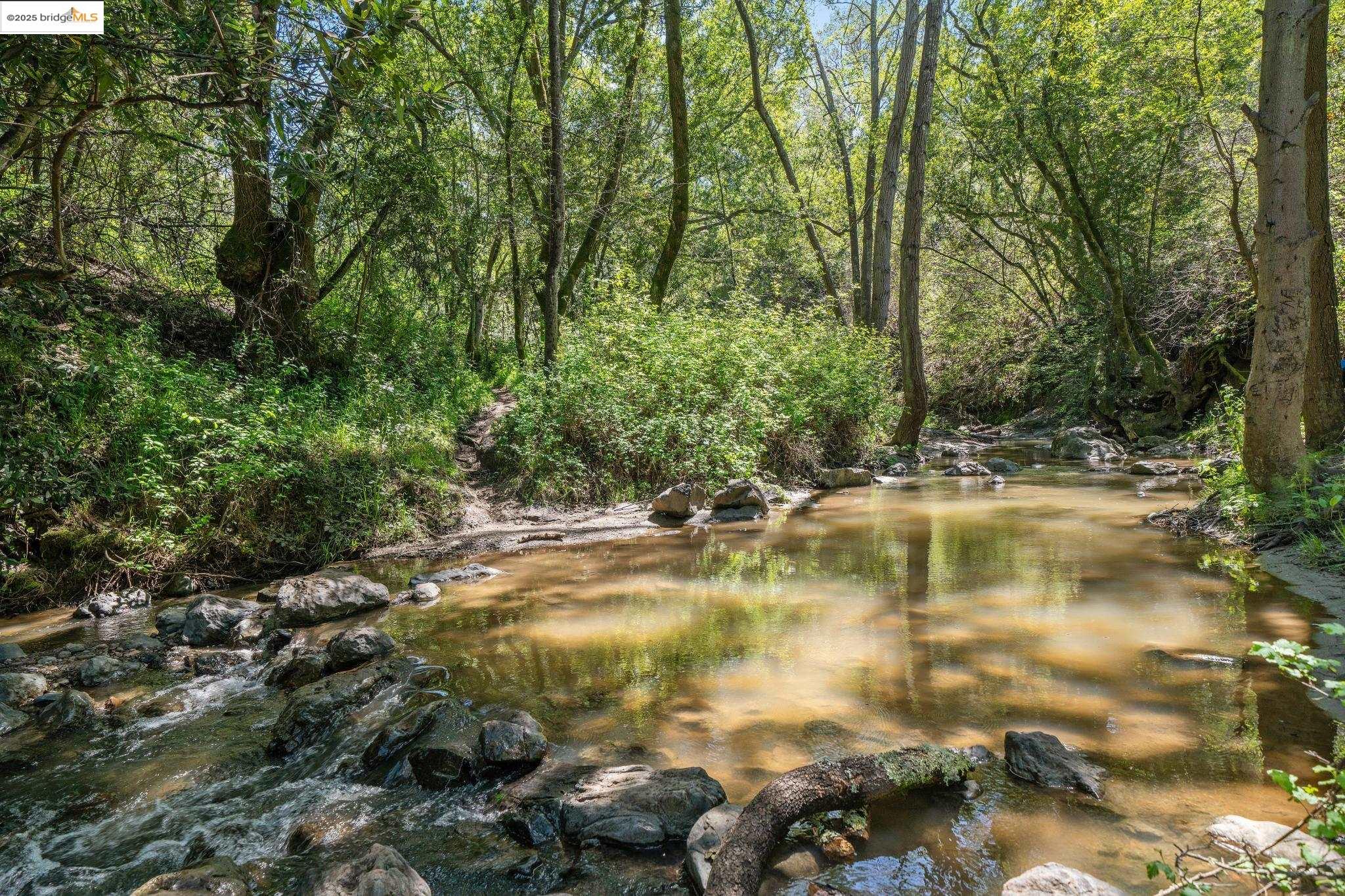 0 Fairview Avenue Richmond, CA 94805 - Photo 36 of 52 a view of swimming pool with a yard