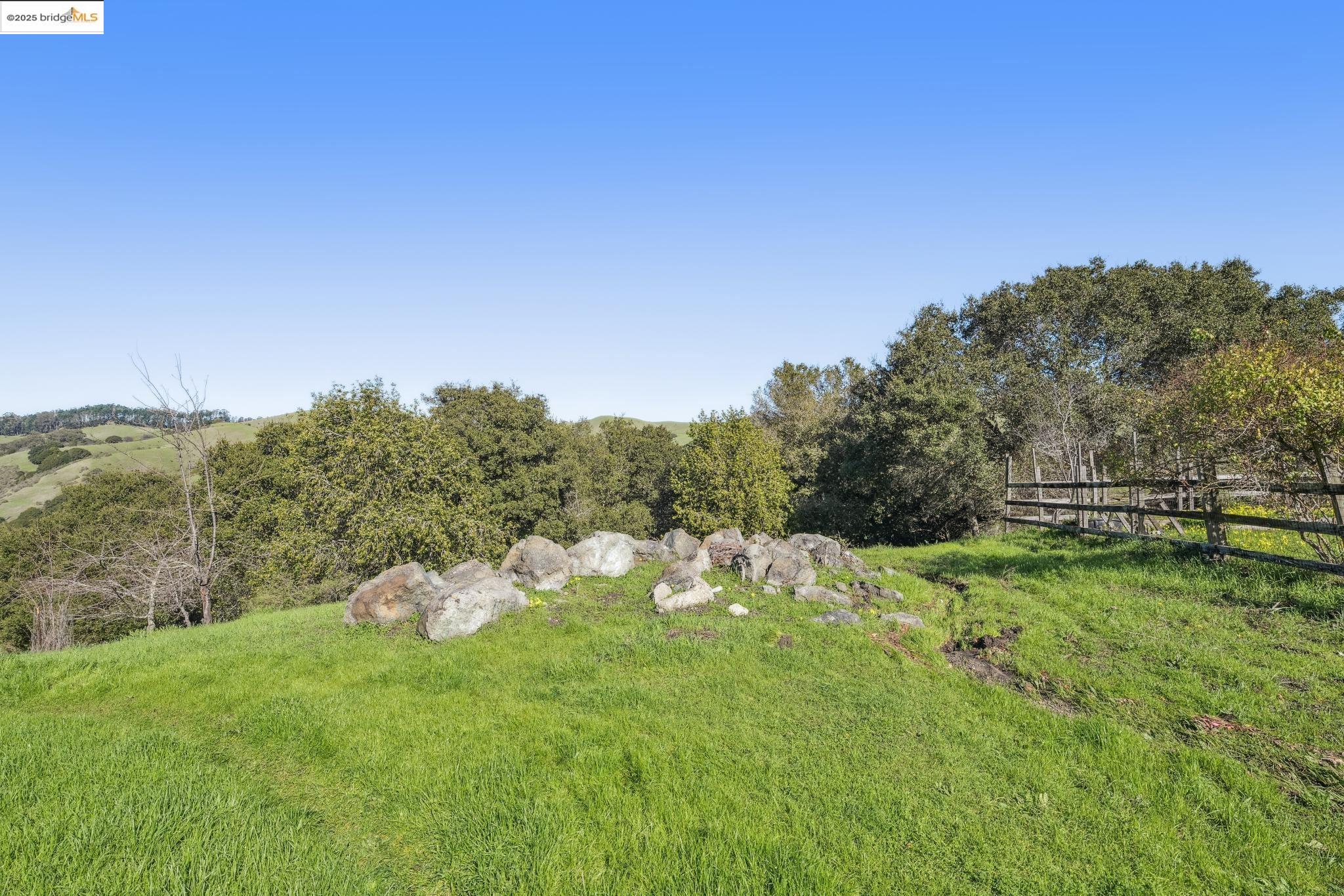 0 Fairview Avenue Richmond, CA 94805 - Photo 4 of 52 a view of a lush green forest with lots of trees