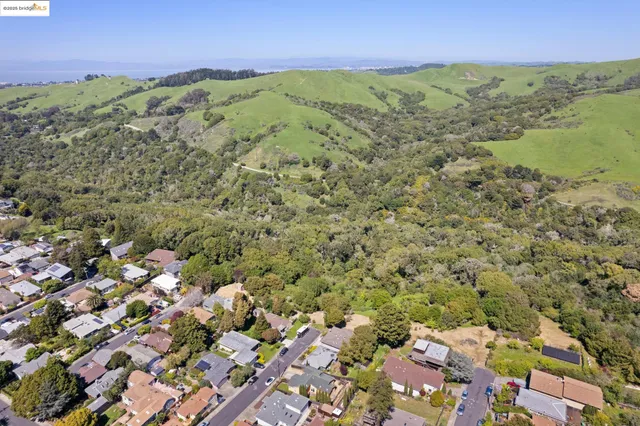 a big yard with lots of green space and trees