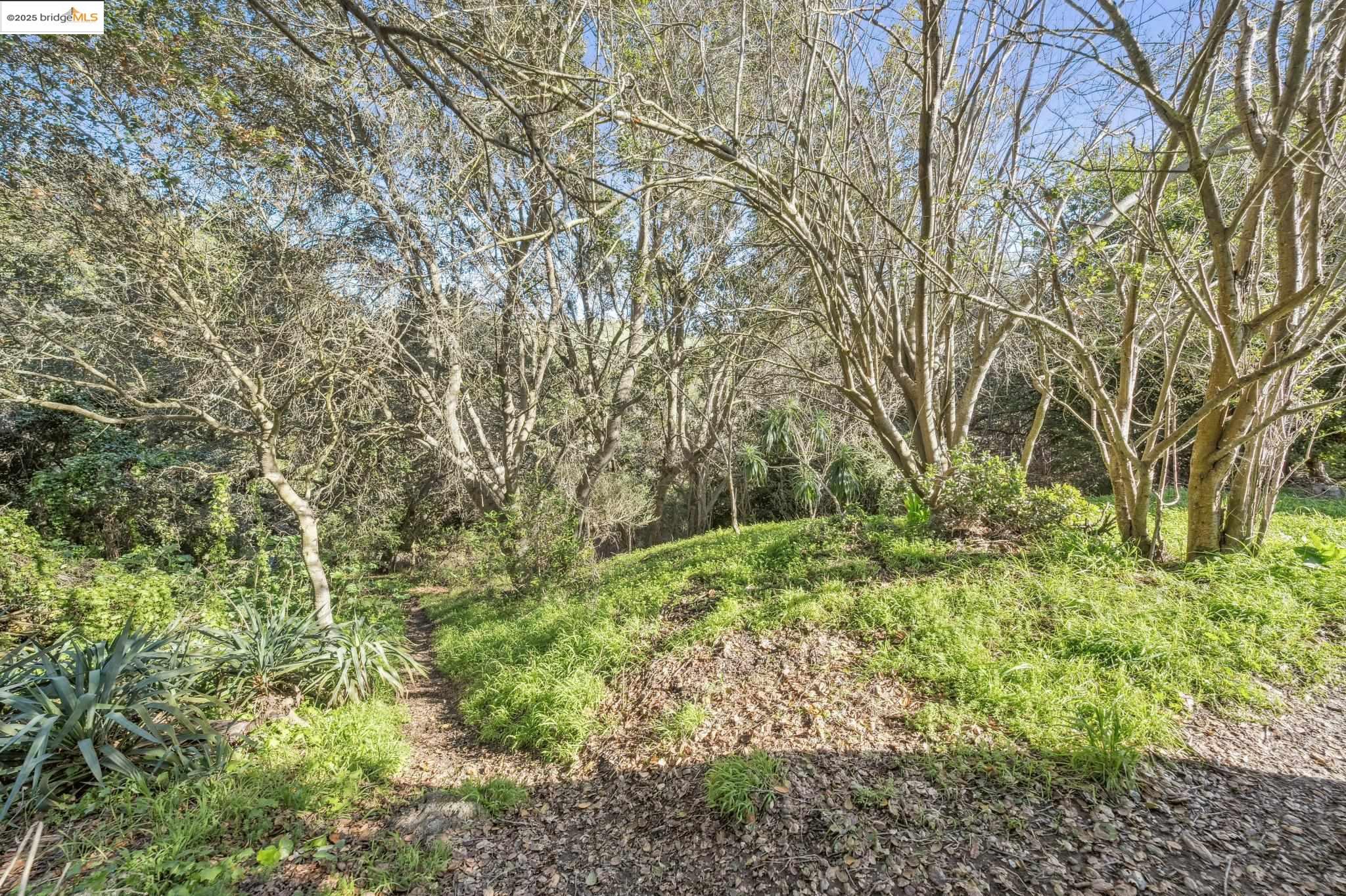 0 Fairview Avenue Richmond, CA 94805 - Photo 45 of 52 a big yard with lots of green space and trees