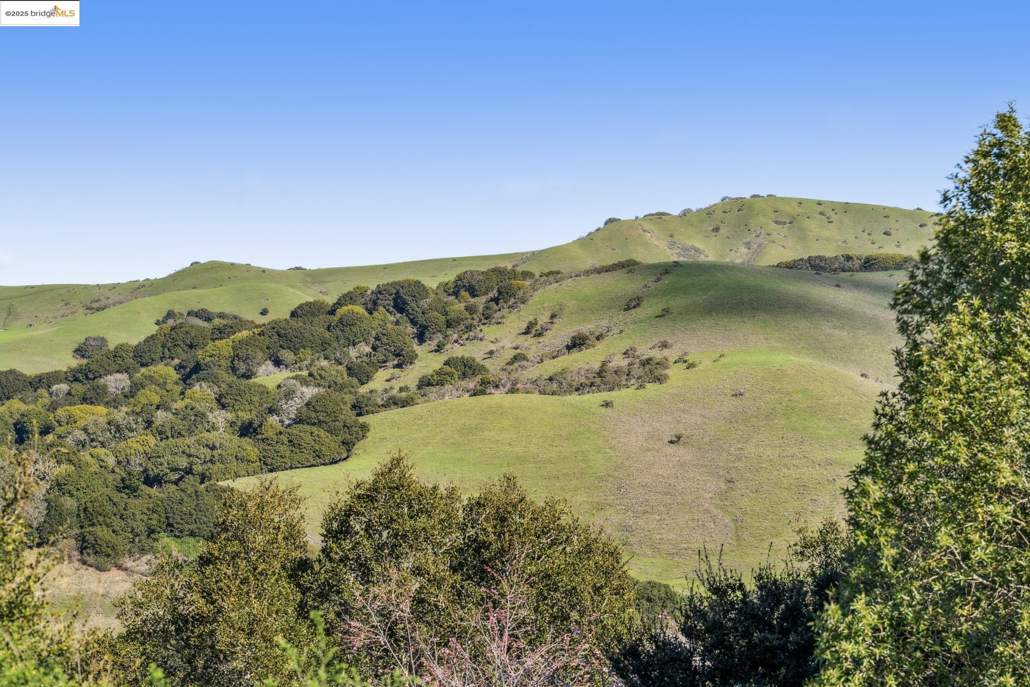 0 Fairview Avenue Richmond, CA 94805 - Photo 48 of 52