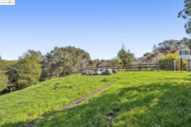 a view of grassy field with trees