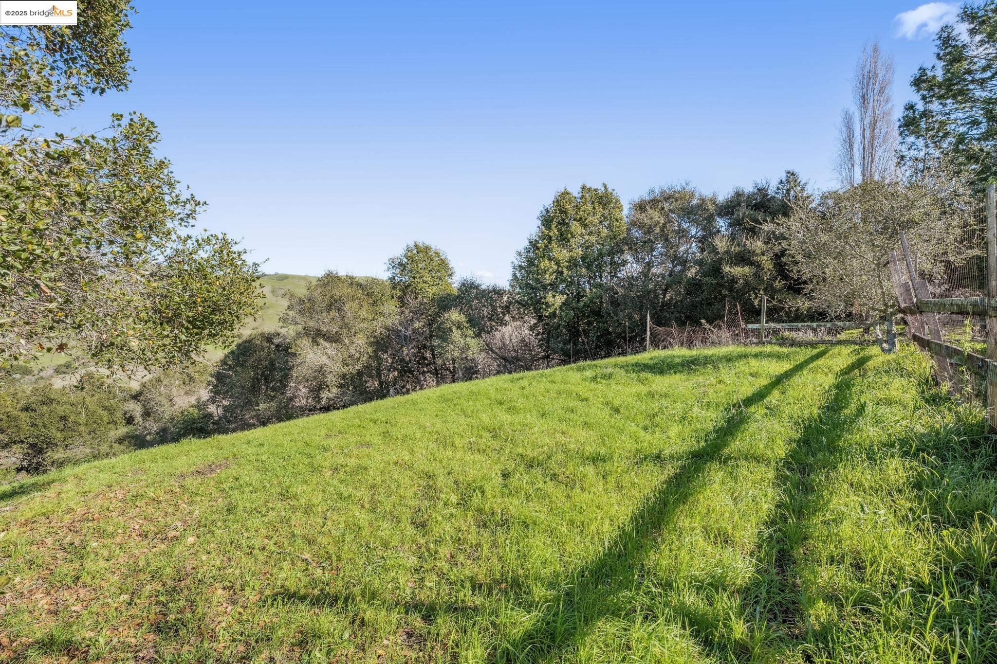 0 Fairview Avenue Richmond, CA 94805 - Photo 9 of 52 a view of a big yard with large trees