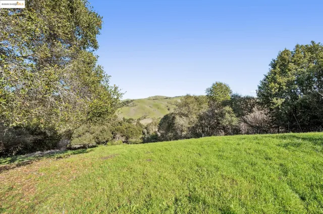 a view of a field with an trees