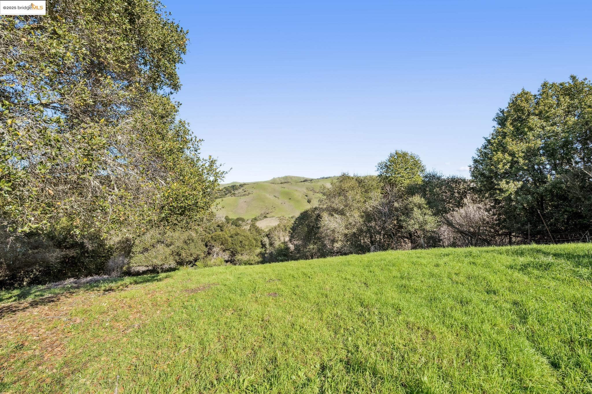 0 Fairview Avenue Richmond, CA 94805 - Photo 10 of 52 a view of a field with an trees