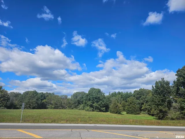 a view of a big yard with large trees