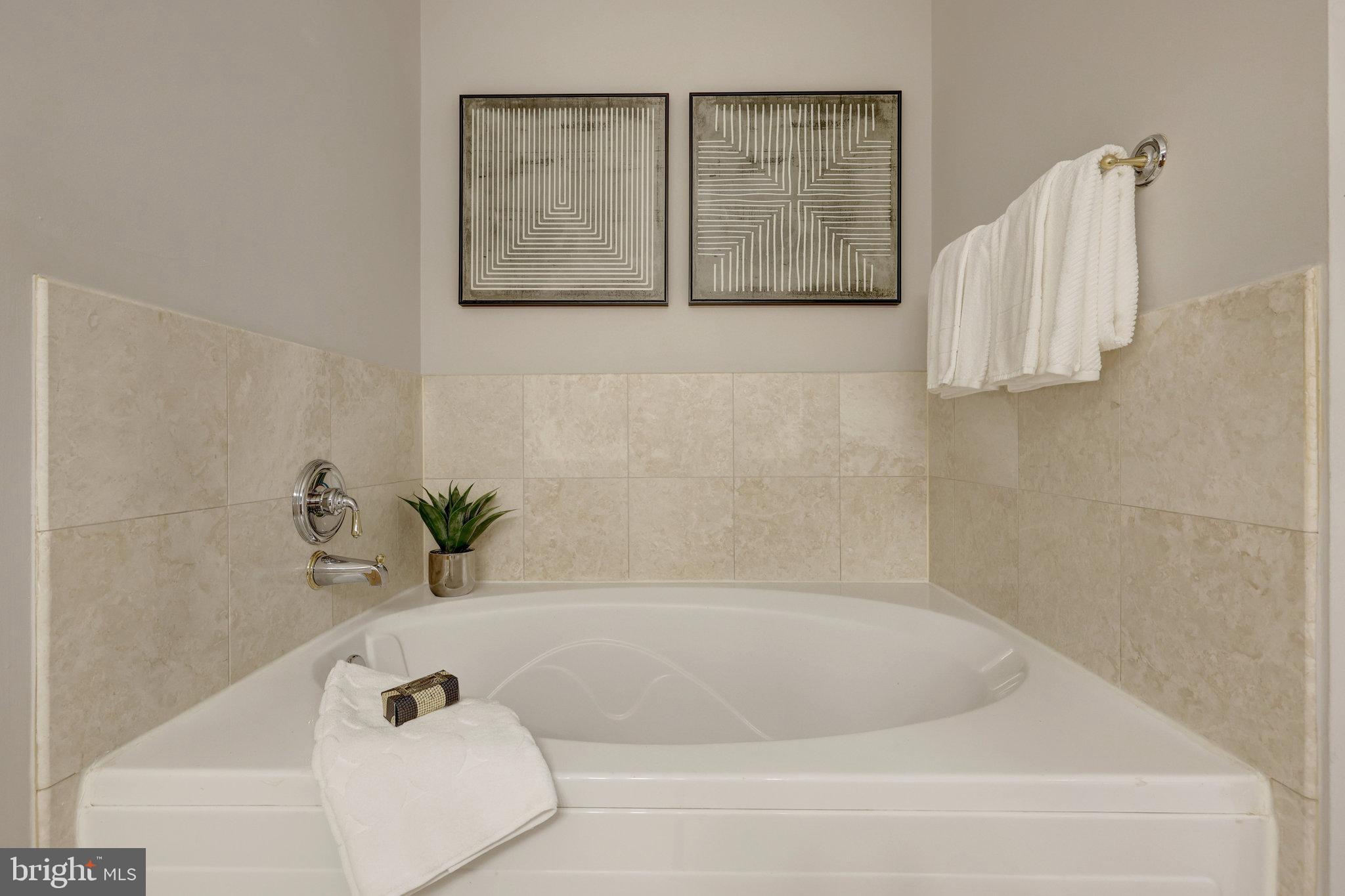 11776 Stratford House Place, Unit 601 Reston, VA 20190 - Photo 32 of 58 Primary Bathroom