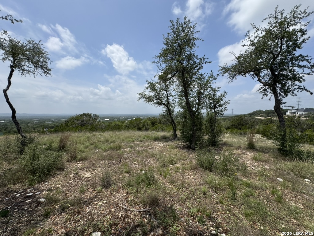 686 Butler Oaks Bulverde, TX 78163 - Photo 8 of 11