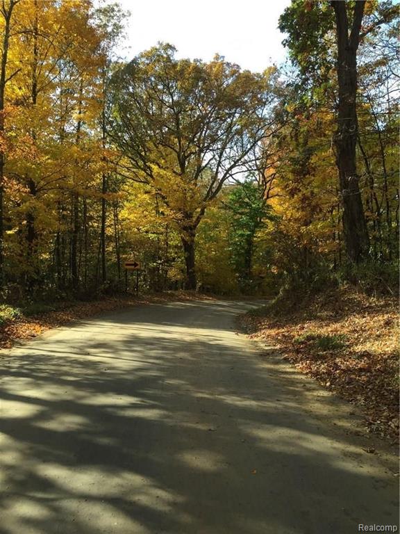 5650 Weller Road Gregory, MI 48137 - Photo 21 of 21
