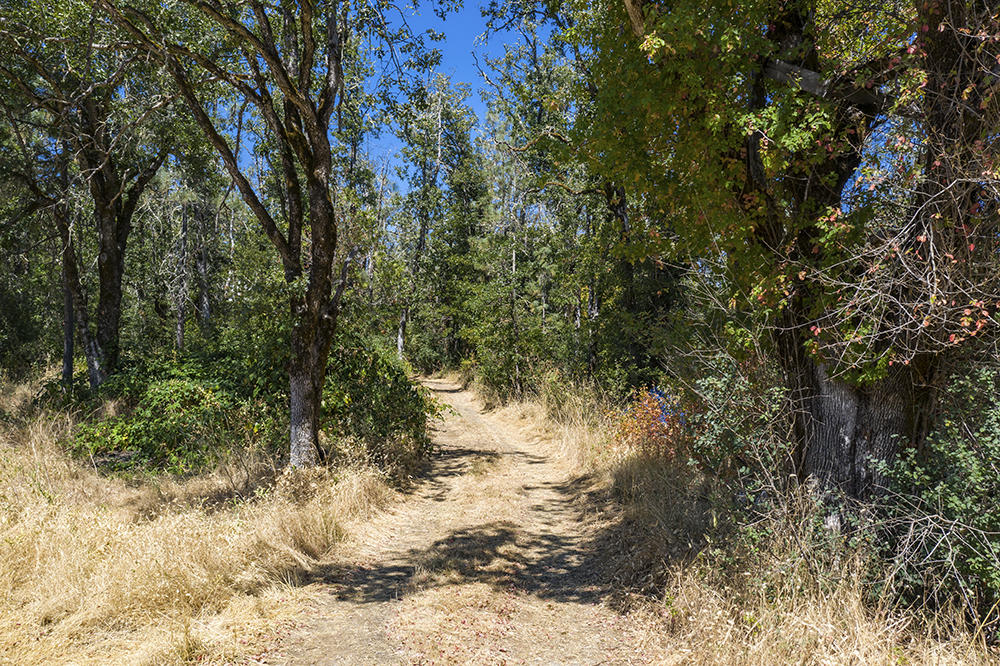 7970 Takilma Road Cave Junction, OR 97523 - Photo 39 of 47 Takilma 39