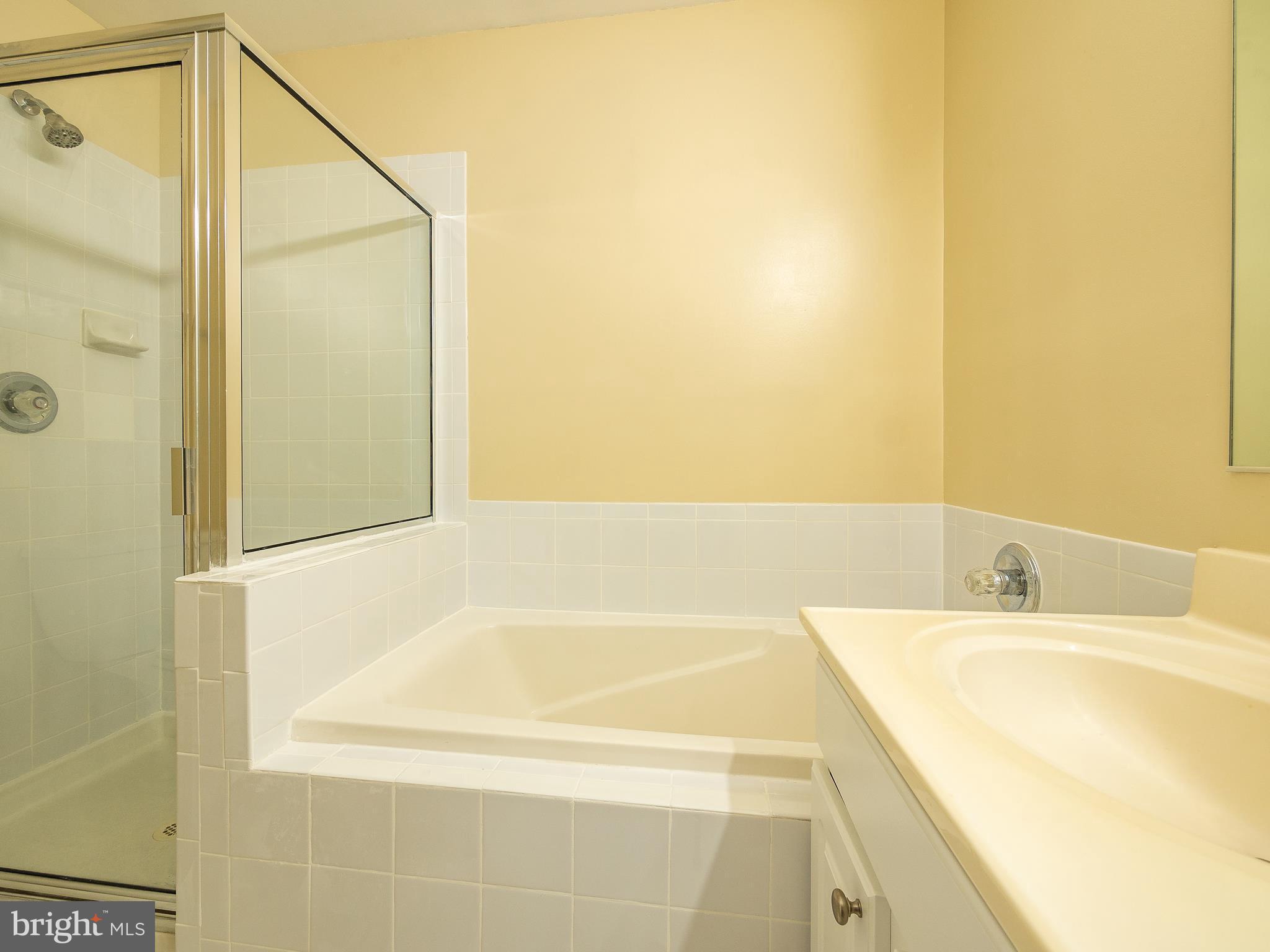 6326 Wind Rider Way Columbia, MD 21045 - Photo 21 of 30 Complete with Soaking Tub and Separate Shower